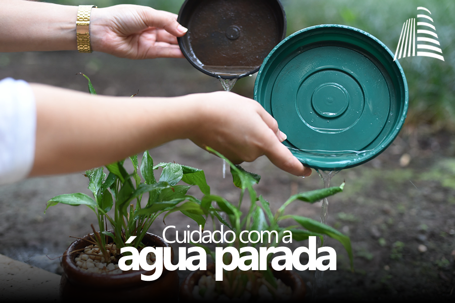 Cuidado com a Água Parada Cuidado com a Água Parada